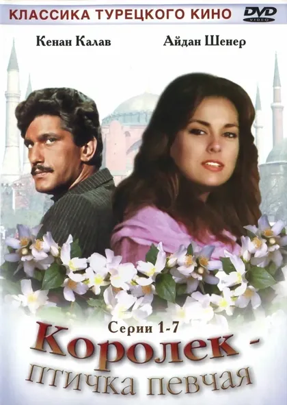 Зафер Эргин