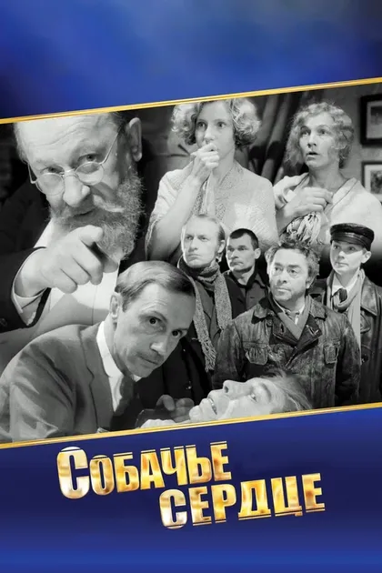 Александр Струнин